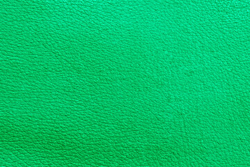 Fototapeta premium The texture of perforated leather. An empty colored surface. Blank for a design or template for a website.
