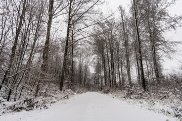 Obraz premium Winter hike in snow from Wilhelmsdorf on the Hoechsten on Lake Constance