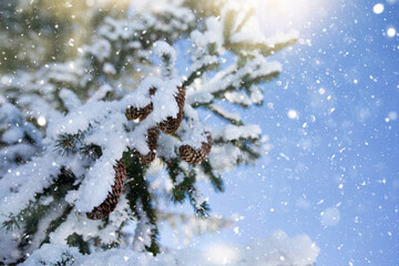 Scenic winter landscape with snowy fir trees. Winter postcard.
