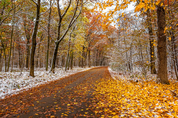 Ned Brown Preserve (Busse Woods) view with snow and autumn colors in Arlington Heights Town of Illinois