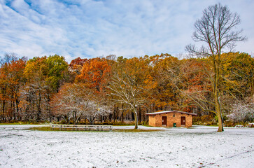 Ned Brown Preserve (Busse Woods) view with snow and autumn colors in Arlington Heights Town of...
