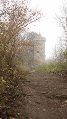 Turm im nebligen Wald 