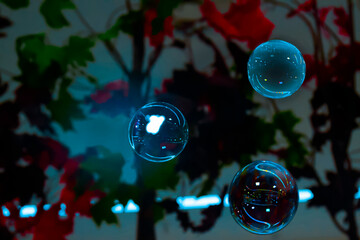 Fototapeta na wymiar Beautiful mystical and atmospheric photo of soap bubbles