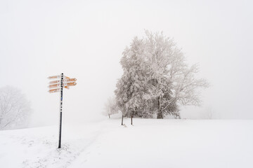 Winter hike in snow from Wilhelmsdorf on the Hoechsten on Lake Constance