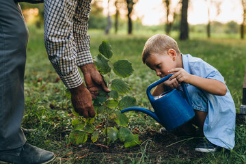 grandfather and his grandson planting tree