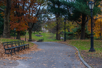 Autumn in Central Park