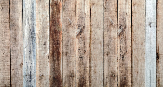 wooden panel row. wood texture background natural tree color.