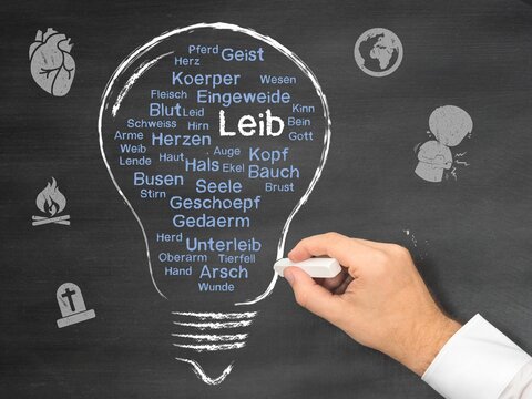 Leib
