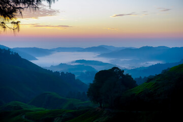 Beautiful sunrise at tea plantations in Cameron Highlands in Malaysia