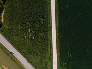 top down aerial view of agricultural fields corn. road. summer day. Bologna. Italy