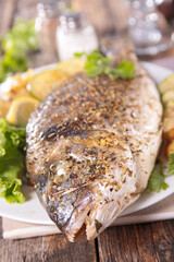 close up on grilled fish and lettuce
