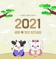 Fototapeta premium 2021 흰 소띠의 해. 신년 벡터 일러스트.