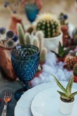 close up photo of wedding decor with succulents on the beach. wedding table setting. Ceremony on the beach. Evening outdoors table setting for seaside party