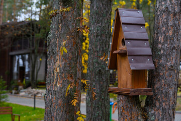 Brown wooden birdhouse with gabled roof on a tree in the park. A house for the birds. Bird feeder.