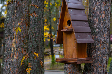 Brown wooden birdhouse with gabled roof on a tree in the park. A house for the birds. Bird feeder.