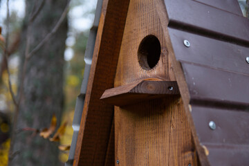 Closeup photo of brown wooden birdhouse with gabled roof on a tree in the park. A house for the birds. Bird feeder.