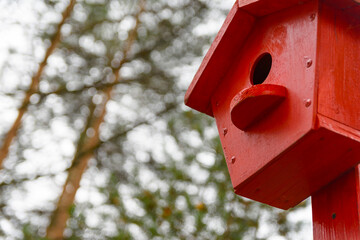 Closeup photo of red wooden birdhouse on a tree in the park. Bird feeder. A house for the birds. Selective focus. Copy space