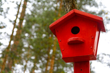 Closeup photo of red wooden birdhouse on a tree in the park. Bird feeder. A house for the birds. Selective focus. Copy space