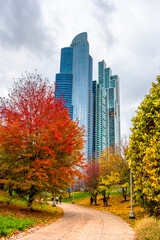 Autumn colors in Chicago of USA