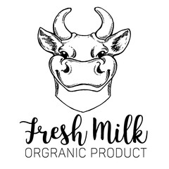 Cows head. Cow portrait. Hand drawn sketch in a graphic style. Vintage vector engraving illustration for poster, web, packaging. Isolated on white background