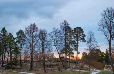 Landscape in the northern park. Bright dawn through the dark silhouettes of autumn trees