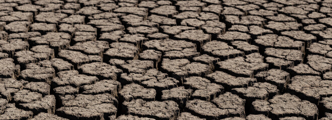 Earth cracked because of drought. The global shortage of water on the planet. Global warming concept. Dry cracks in the land.