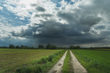 Naklejka premium Empty dirt road through fields and a single cloud with rain