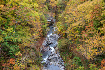 福島県中津川渓谷の紅葉