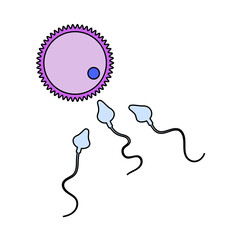 Sperm And Egg Cell Icon