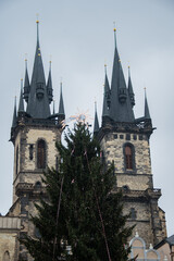 Fototapeta na wymiar Christmas tree and Prague Cathedral