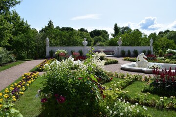 Obraz premium fountain in the garden