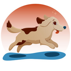 dog jumps, cute puppy