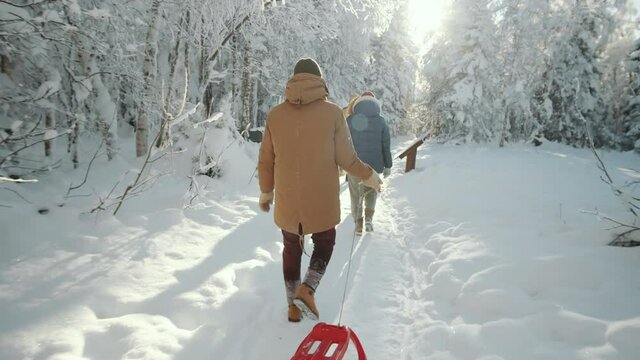 Tilt up back view following shot of group of friends walking with sled through snowy forest on winter day