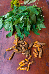 Boruca (also known as the Brunca or the Brunka) indigenous people, Costa Rica, Central America, America