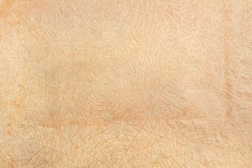 Fondo de textura de papel viejo beige marrón. con dibujo. Vista de cerca