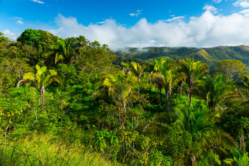 Boruca (also known as the Brunca or the Brunka) indigenous people, Costa Rica, Central America,...