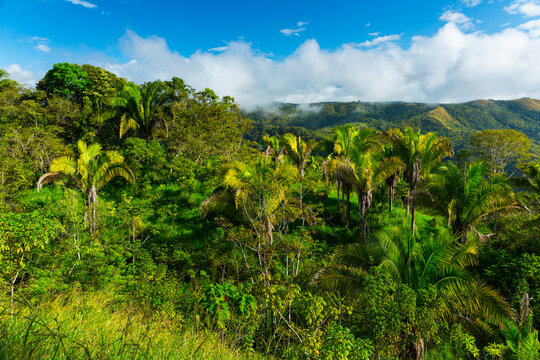 Boruca (also known as the Brunca or the Brunka) indigenous people, Costa Rica, Central America, America