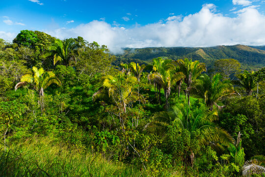 Boruca (also known as the Brunca or the Brunka) indigenous people, Costa Rica, Central America, America