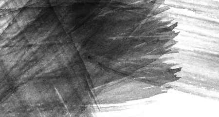 black and white photo of a tree