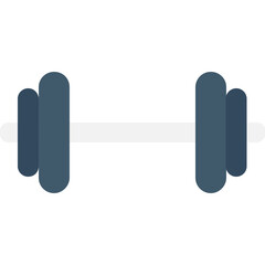 
Dumbbell Flat vector Icon
