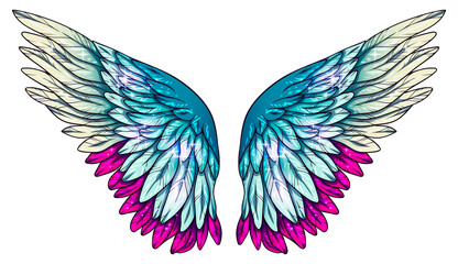 Fototapeta na wymiar Beautiful bright magic wings