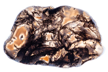 Backlighted slice of light yellow moss agate isolated on a white background