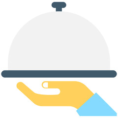Platter Flat vector Icon