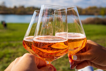 Hands holding glasses of wine with champagne and toasting during a picnic in a park with a lake. Cheers and celebration vibes.
