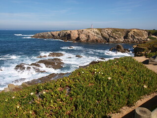 Fototapeta na wymiar Great nature on the Atlantic West coast in Portugal