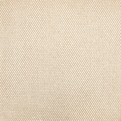 Fabric texture light beige color for background or design