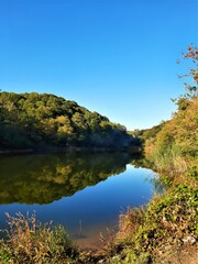 Fototapeta na wymiar lake in the autumn, nature, yellow,blue , green.