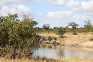 Mondzweni Damm/ Mondzweni Dam / ..