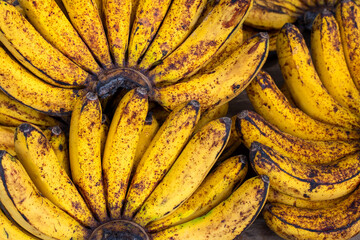 Tropical banana branch closeup photo. Simple tropical fruit on market stall. Organic farm market in South Asia. Native Banana fruit. Healthy vegetarian diet. Asian agriculture