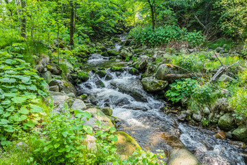 Obraz premium Karpacz, Polen